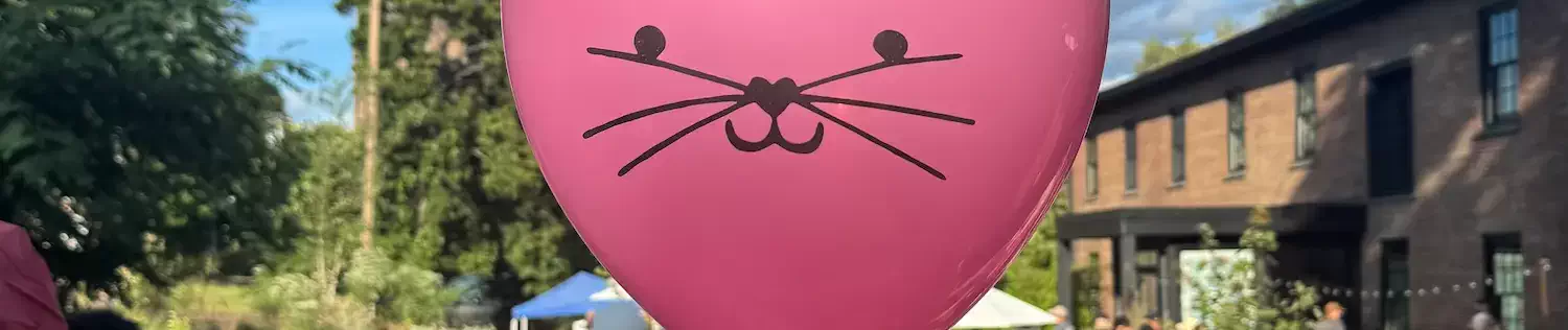 pink balloon with cat's face drawn on it and people in the background on a sunny day