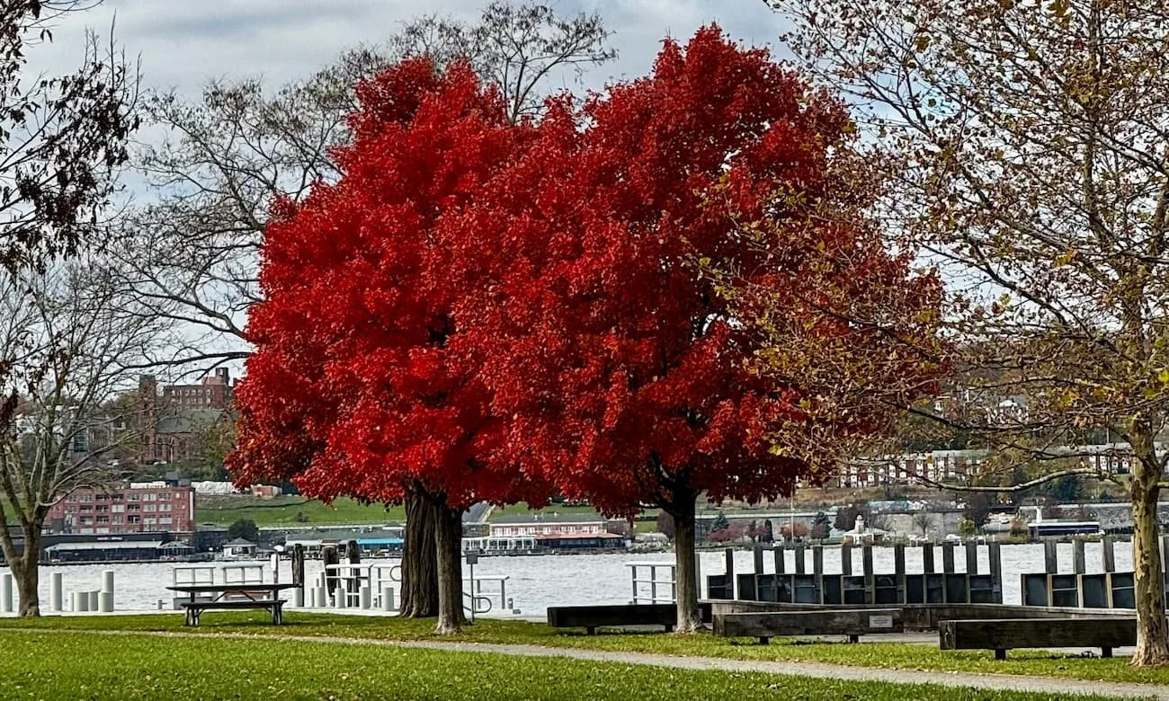 7 Fall Activities You Won’t Want To Miss