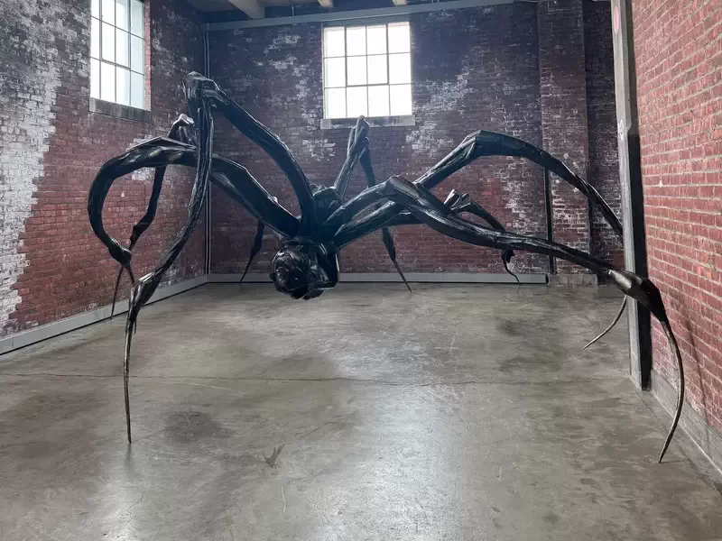  Louise Bourgeois’s  Crouching Spider  at Dia Beacon, 3 Beekman Street. 