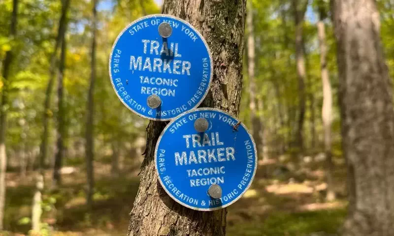  Trail markers lead the way at Mount Beacon. 