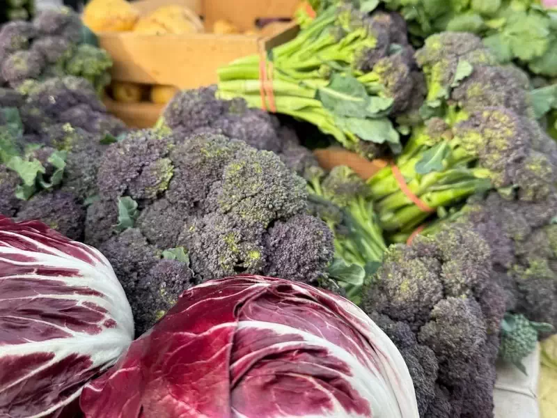  Fresh, organic vegetables available from Beacon Farmers Market every Sunday 