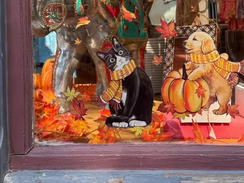  Fall window display at Tibet Tree of Life, 460 Main Street. 