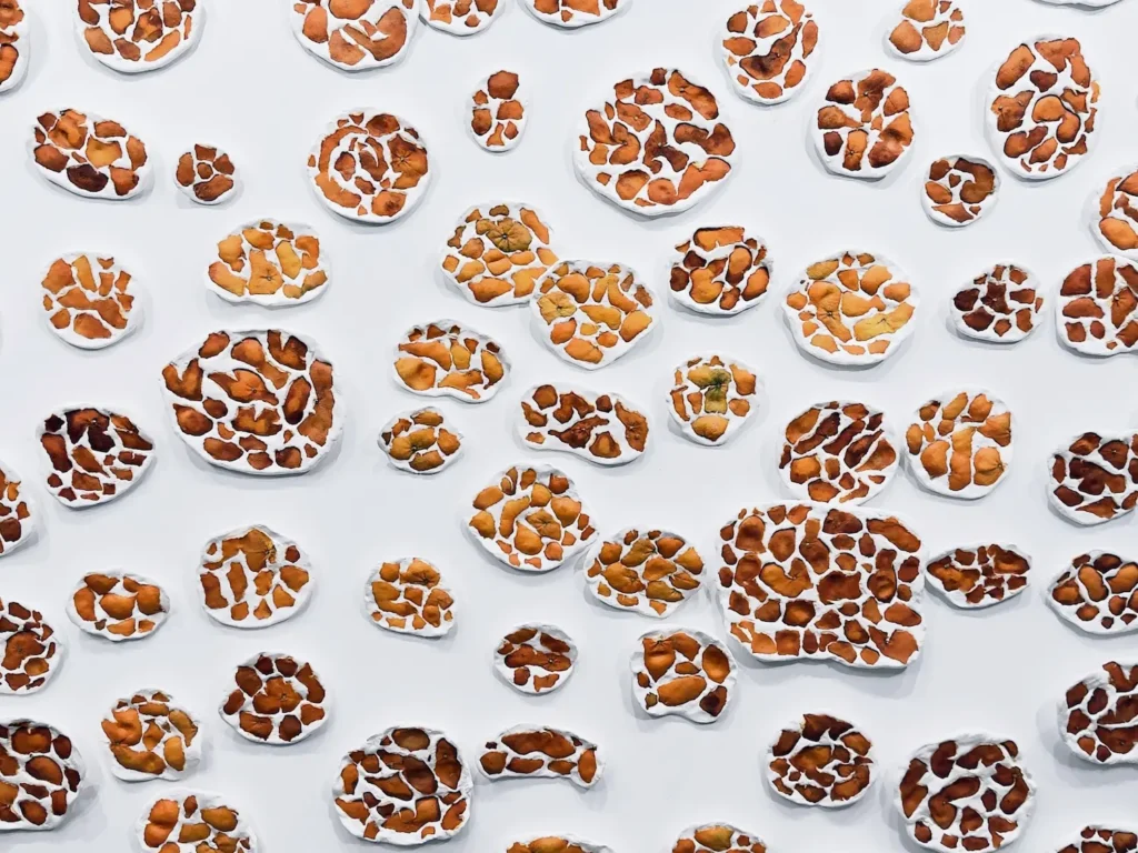 A mosaic of white patches and shades of brown patches within it on a white wall.