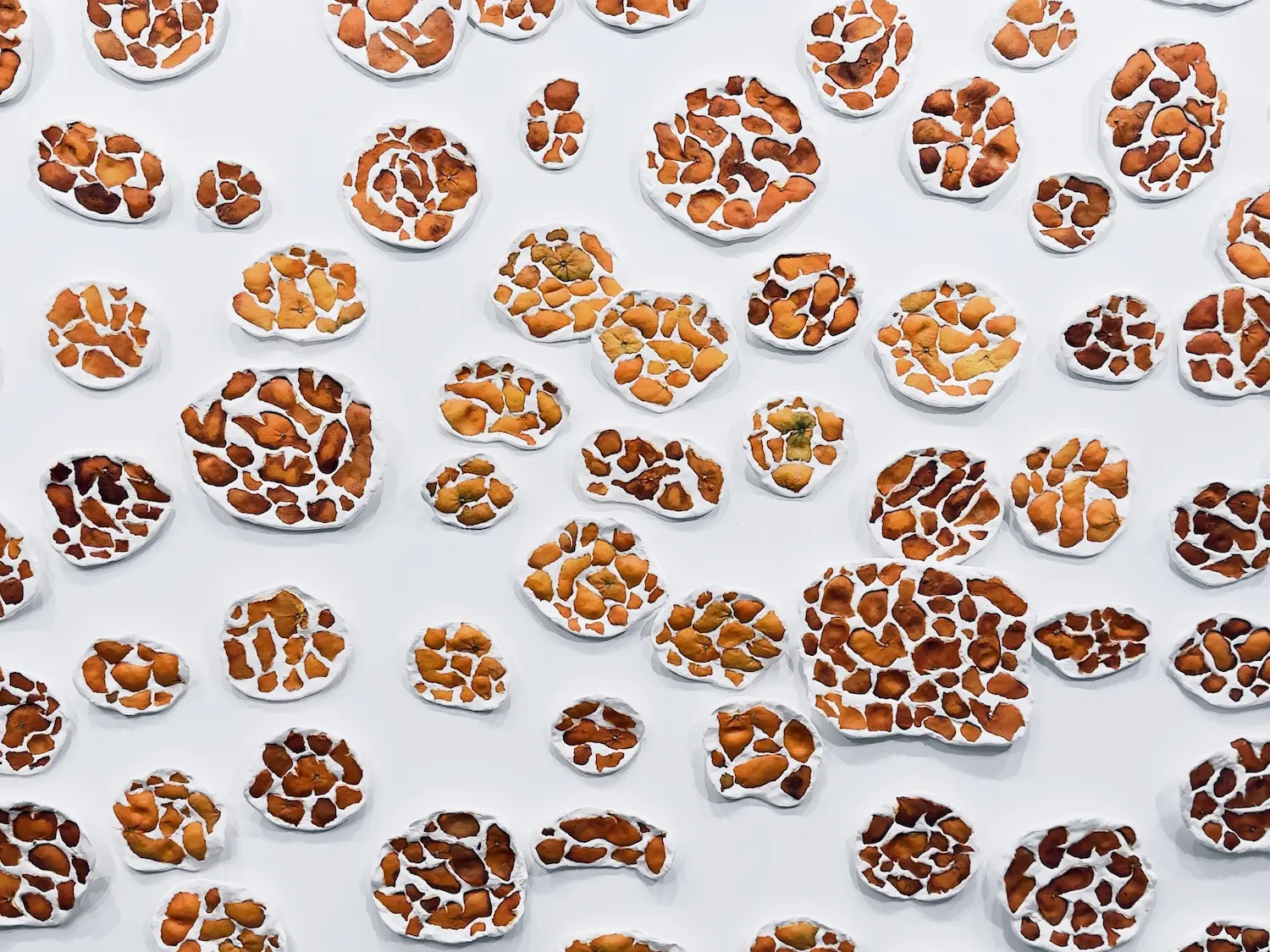 A mosaic of white patches with brown patches placed within them, on a white wall.