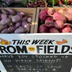Beacon Farmers Market