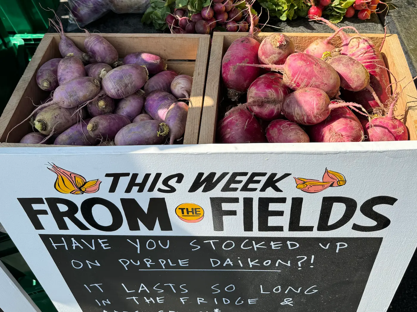 Beacon Farmers Market