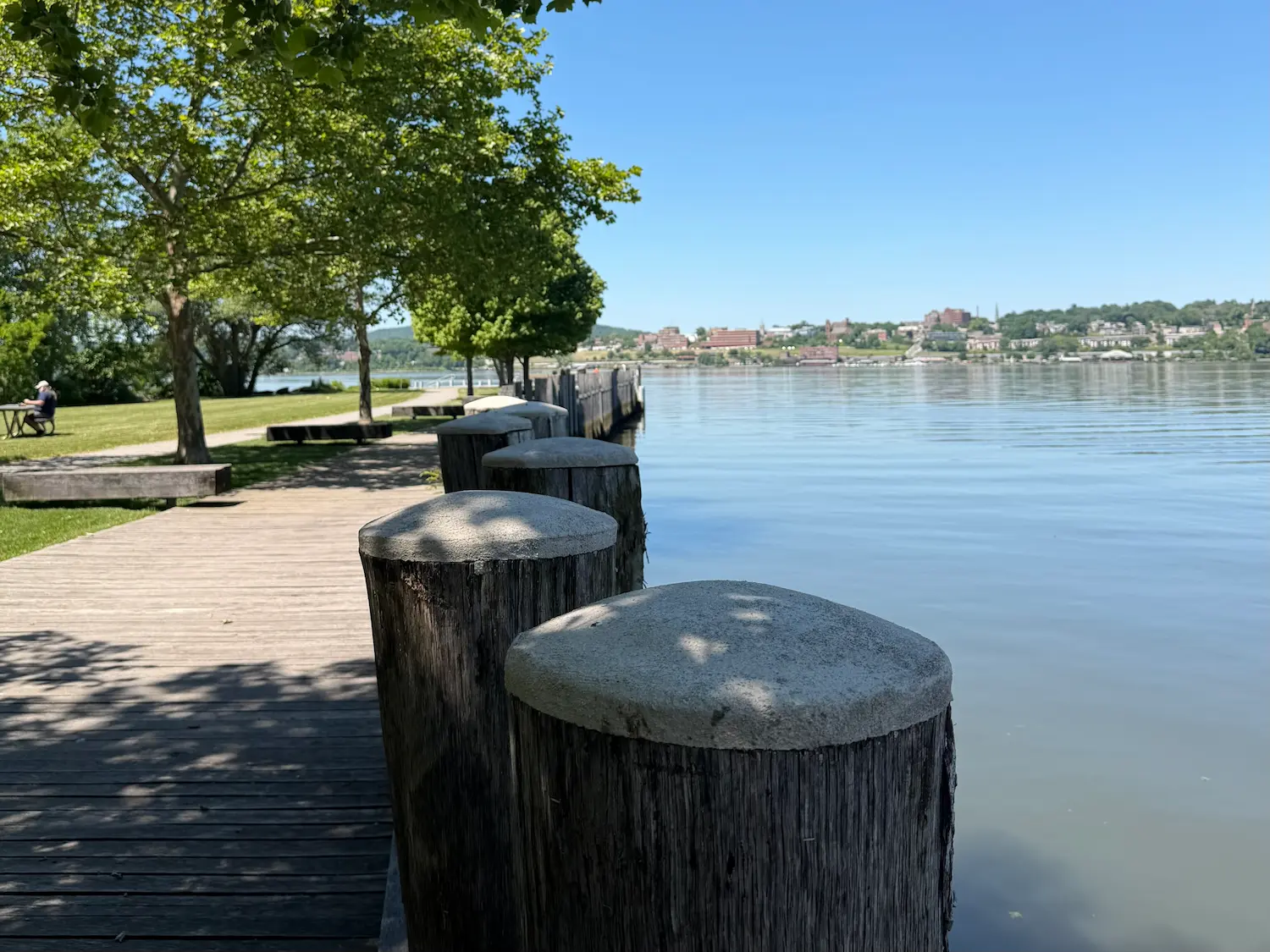 A tree-lined walking path next to the river's edge on a sunny day.